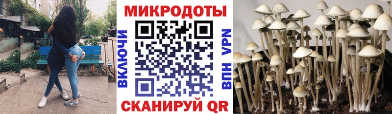 сколько стоит МЕГА зеркало Галлюциногенные грибы Magic Shrooms Петров Вал